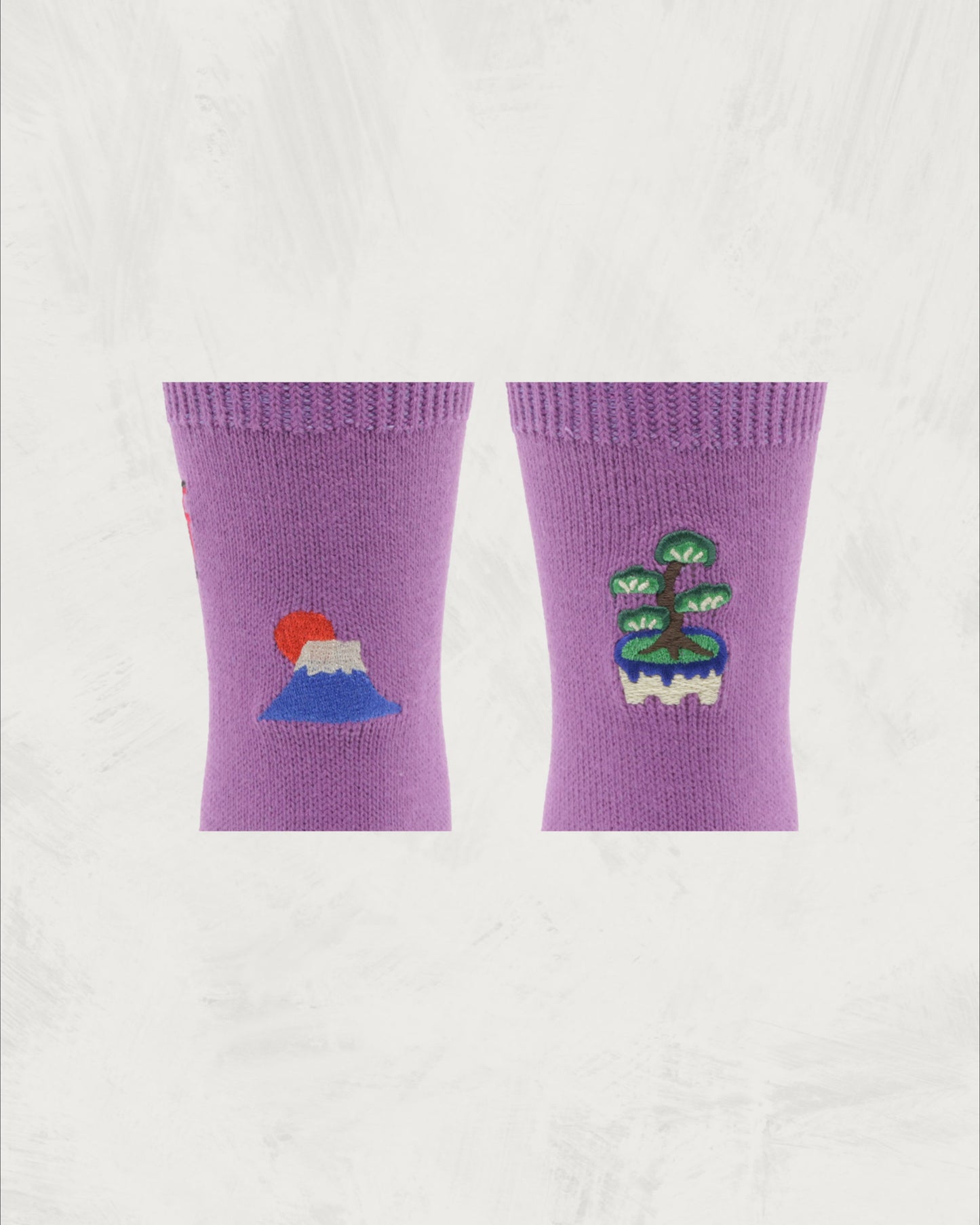 Souvenir Socks | Japan