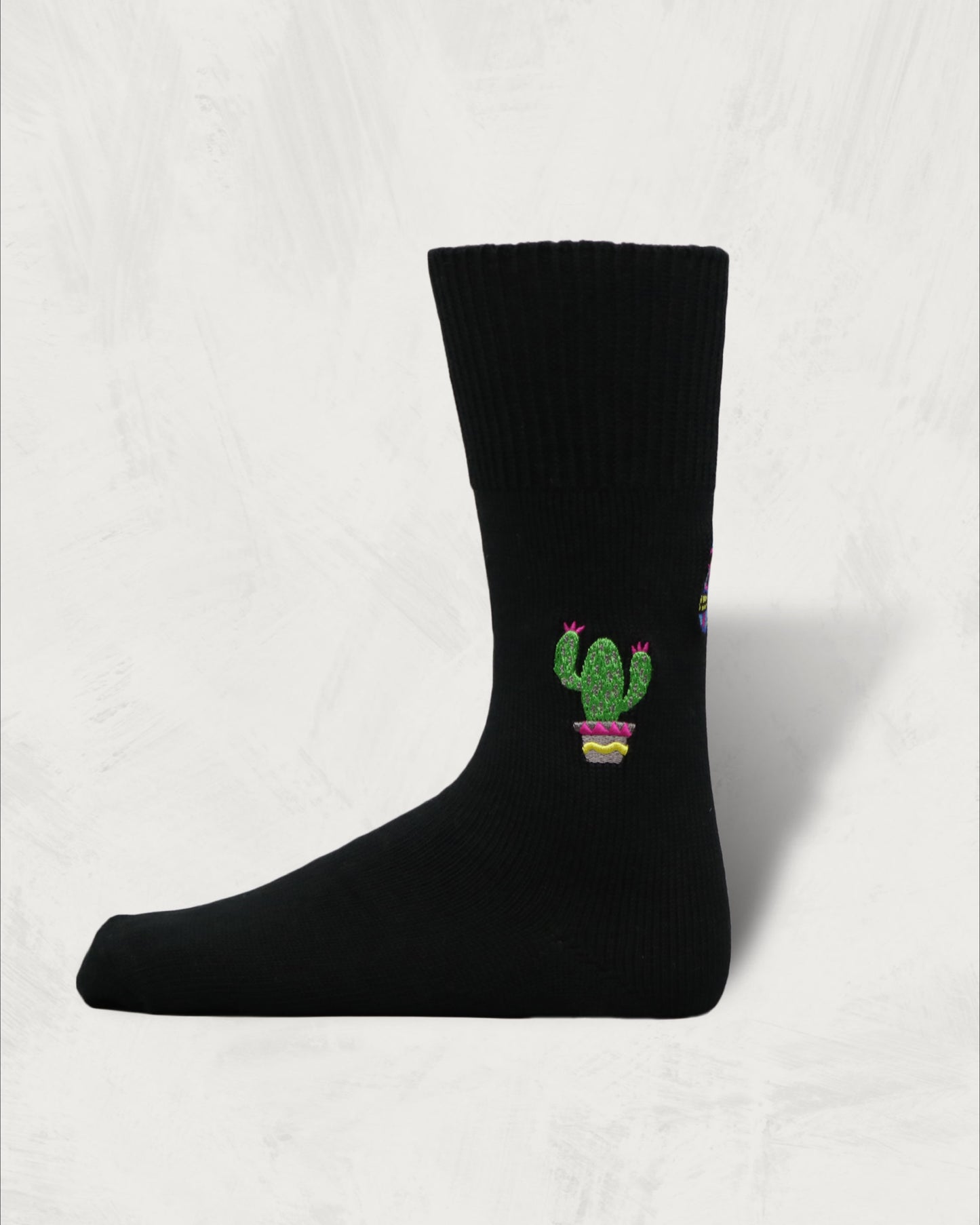 Souvenir Socks | Mexico