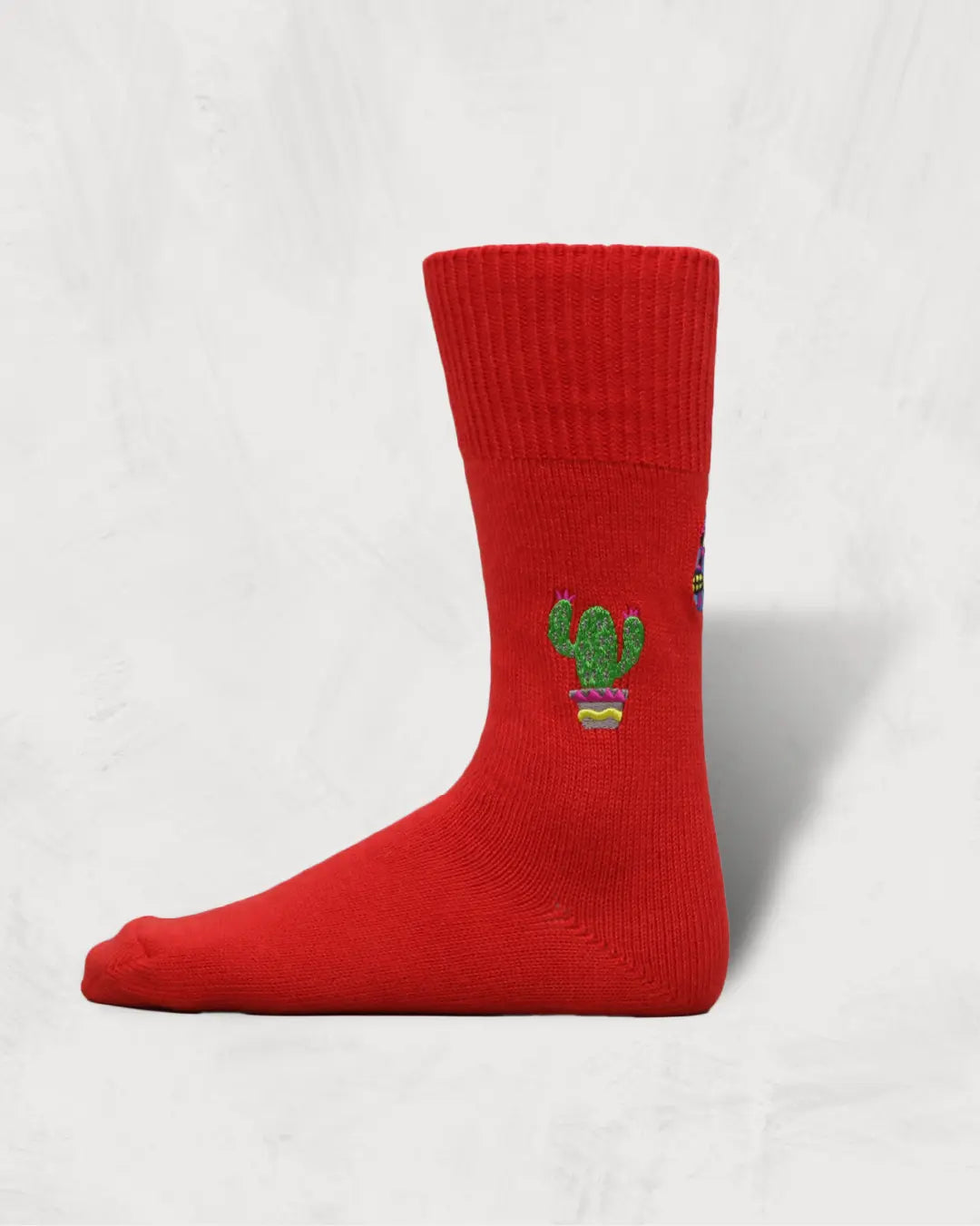 Souvenir Socks | Mexico