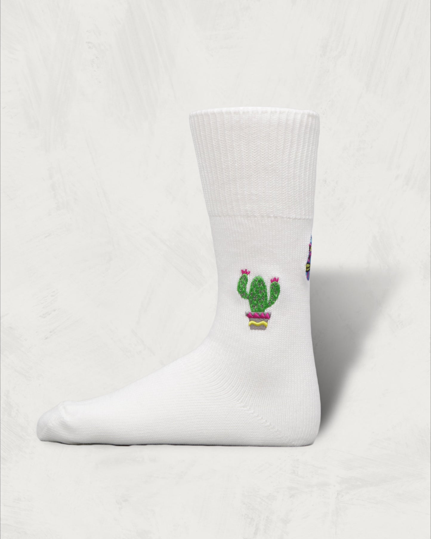 Souvenir Socks | Mexico