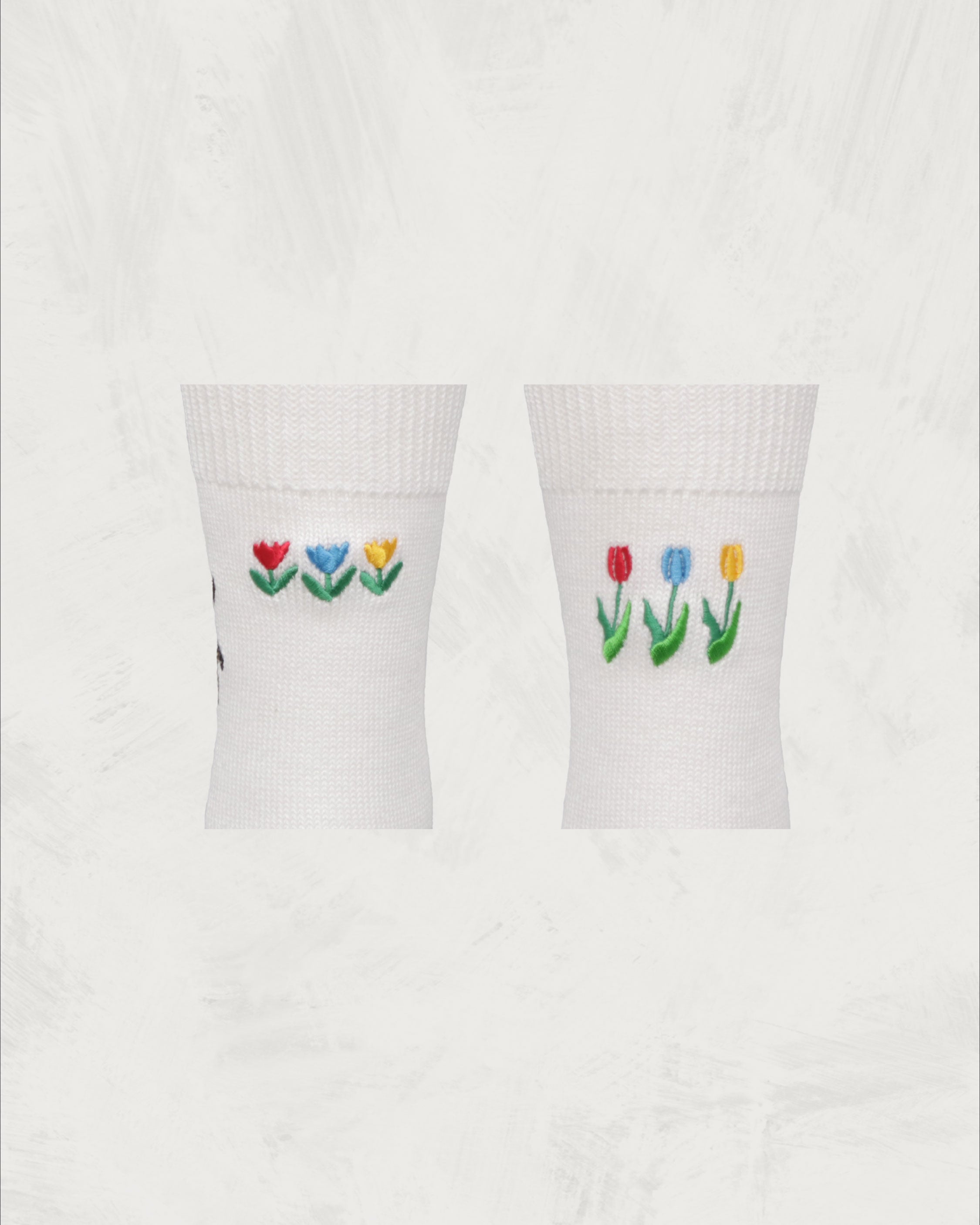 Souvenir Socks | Netherlands