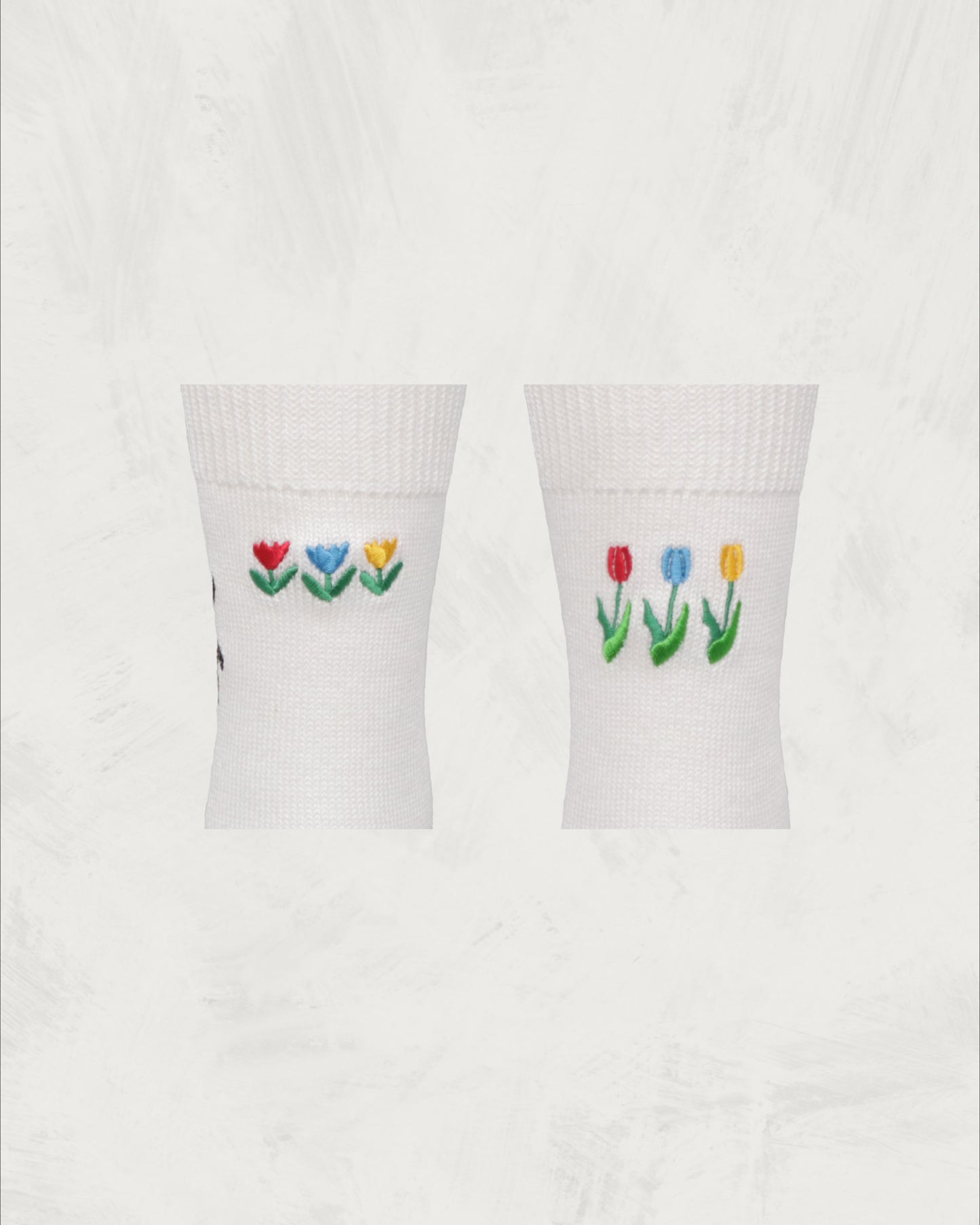 Souvenir Socks | Netherlands